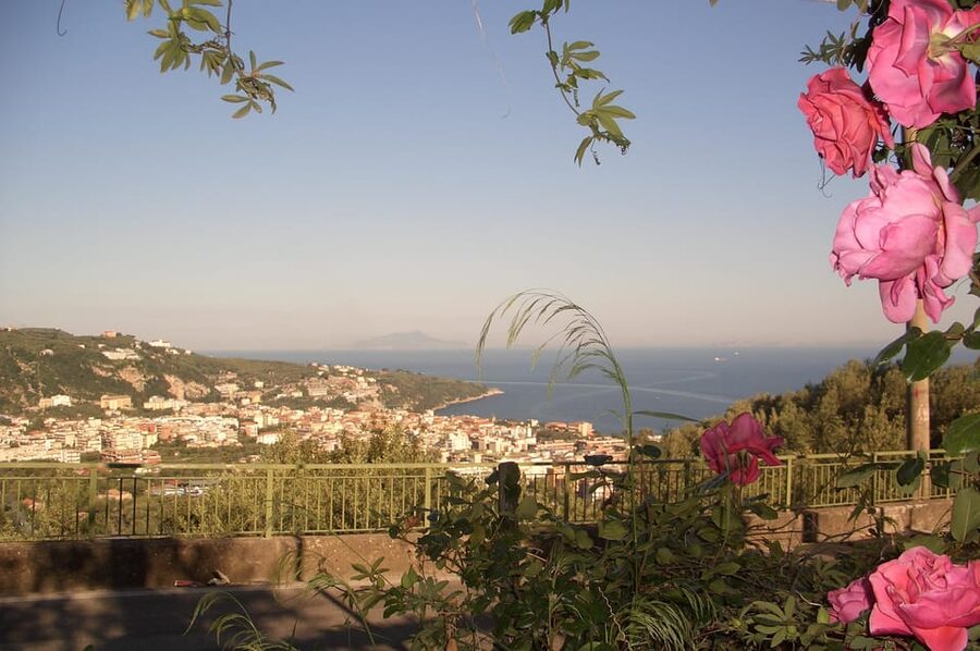 Sorrento: Walking Tour in Lemon Garden w/ Food Tasting - Mozzarella demonstration and the farm lunch moment