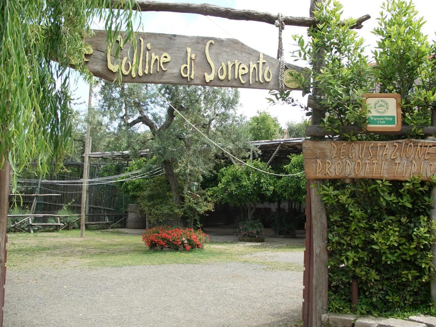 Sorrento: Walking Tour in Lemon Garden w/ Food Tasting - Spending time with the family shop (without getting pushed)