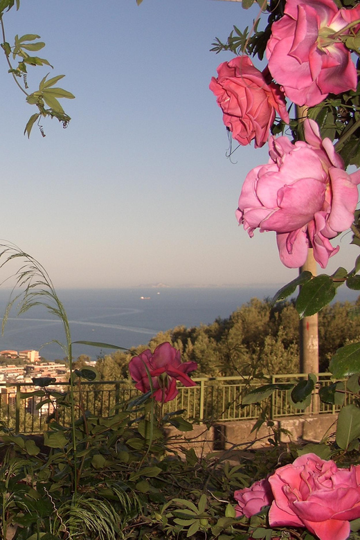 Sorrento: Walking Tour in Lemon Garden w/ Food Tasting - Getting to Vallone dei Mulini and riding up the hills