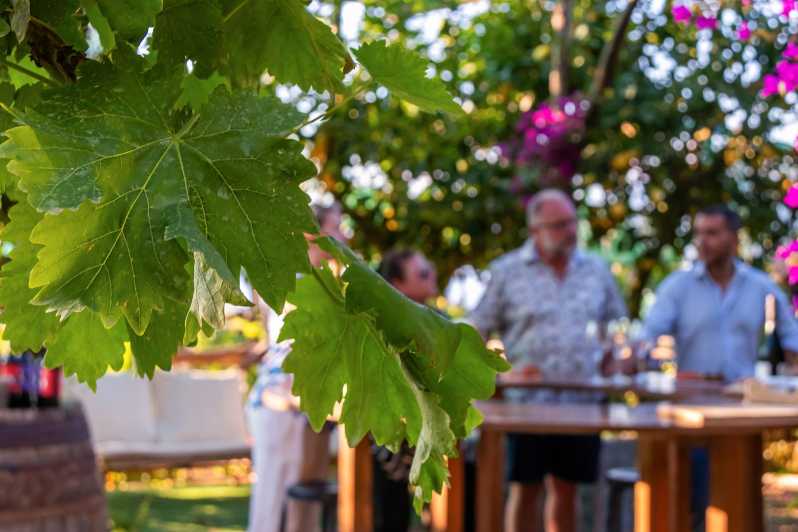 Sorrento: Wine Tasting Overlooking the Sea in a Lemon Grove - The Wine Tasting Location: A Rustic Farmhouse Garden Overlooking the Coast