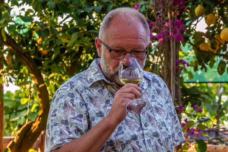 Sorrento: Wine Tasting Overlooking the Sea in a Lemon Grove - What You Actually Taste: 5 Wines Plus Local Products