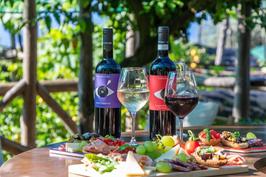 Sorrento: Wine Tasting Overlooking the Sea in a Lemon Grove - The Sommelier Guide: Tips That Make the Tasting Click