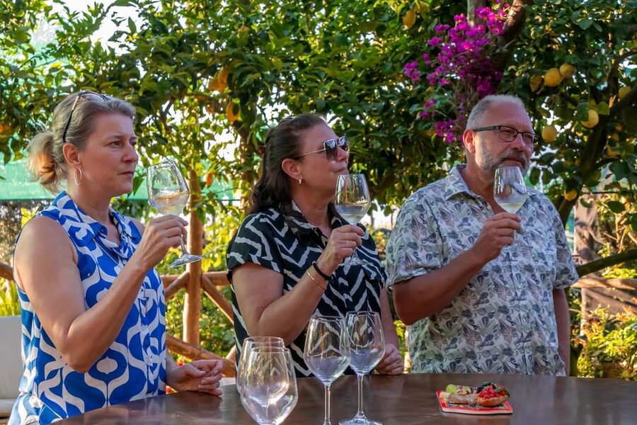 Sorrento: Wine Tasting Overlooking the Sea in a Lemon Grove - Itinerary Walkthrough: Start Point, Van Transfer, and the 1.5-Hour Tasting