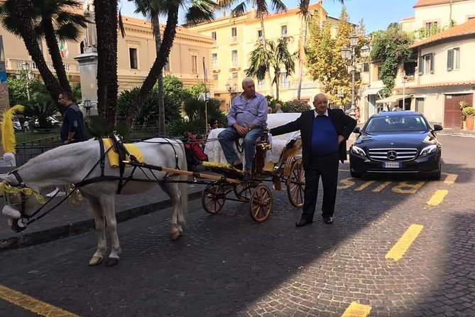 Splendida giornata con noi in costiera Amalfitana e dintorni - Should you book this Sorrento private tour?