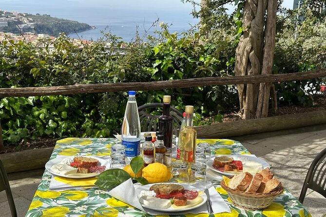 Tasting Limoncello, Oil and Typical Products in Farmhouse - Key Things To Know Before You Go