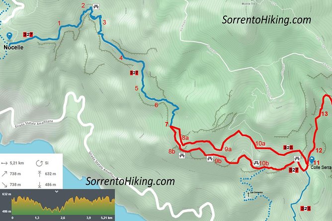 The Path of the Gods - Walking Tour - Hiking - Trekking Amalf Coast - Getting started: meeting in Sorrento and heading for Bomerano