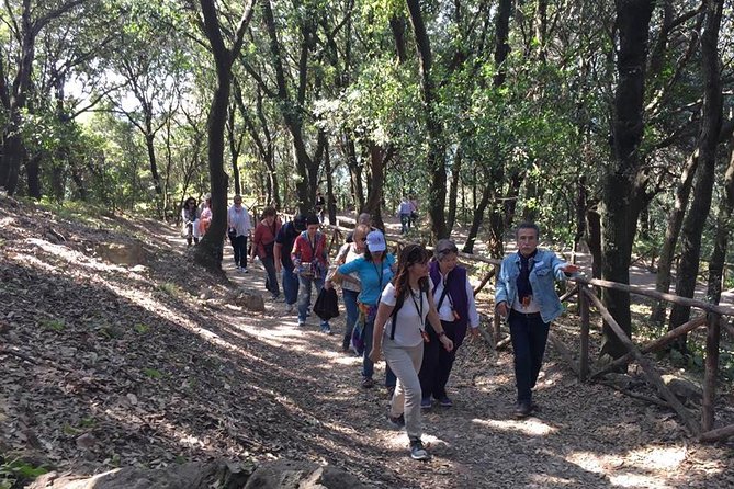 Tour in the ruins of Cuma with an archaeologist. - Who this tour is best for (and who should skip it)