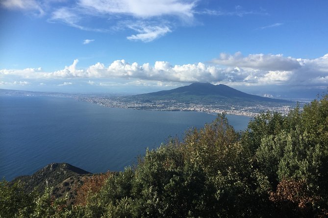 Transfer from Sorrento to Naples - Price and Value: Is $164.13 per Person Worth It?