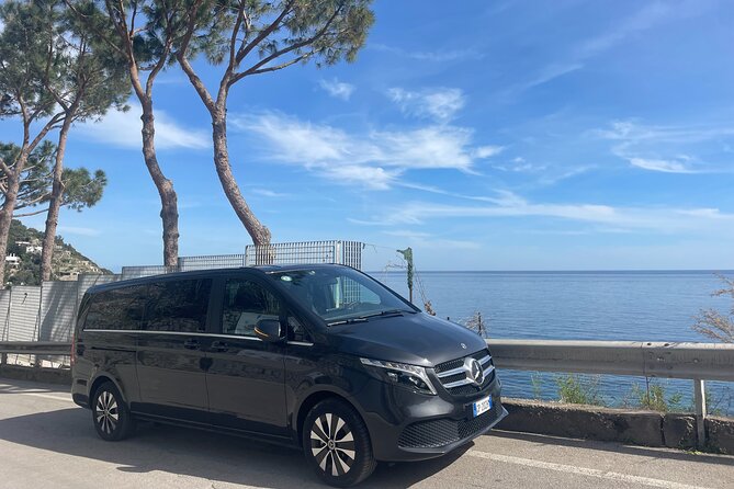 TRANSFER to the Airport/Train Station - Price and Value for a Private Group Ride