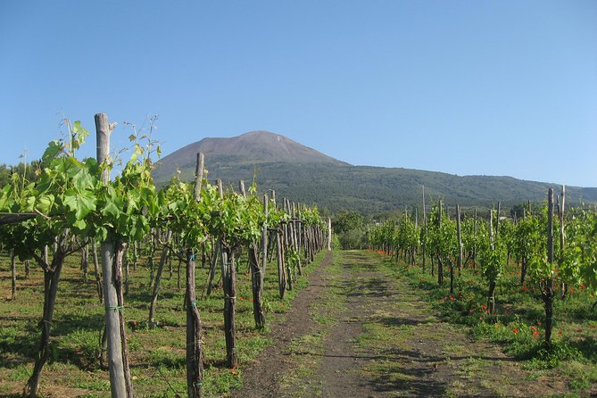 Vesuvius & Vineyard select from Sorrento - Timing at Vesuvius: The Crater Hike Feels Short, Even When It’s Not