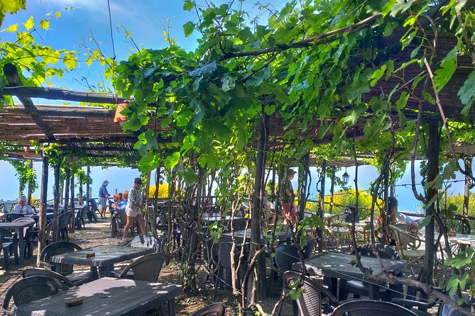 Vesuvius & Vineyard select from Sorrento - What to Pack for a Steep, Windy Climb