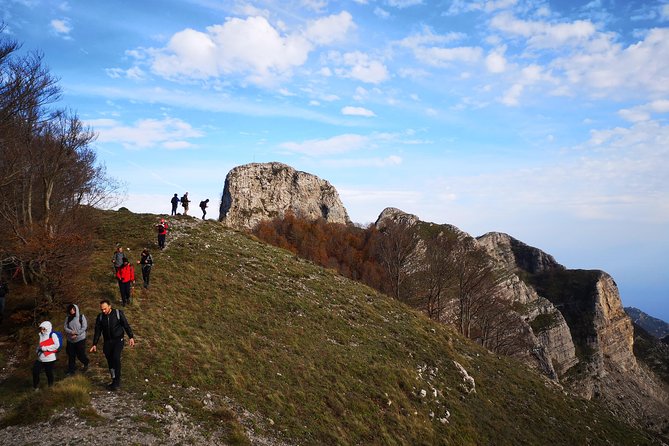 Walk around Faito Mountain, the Highest Point of the Amalfi Coast and Sorrento Peninsula - Walking Back Through the Woods: Ancient Beech and a Calm Finish