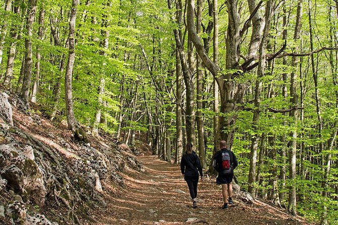 Walk around Faito Mountain, the Highest Point of the Amalfi Coast and Sorrento Peninsula - Should You Book Cartotrekking’s Faito Mountain Walk?