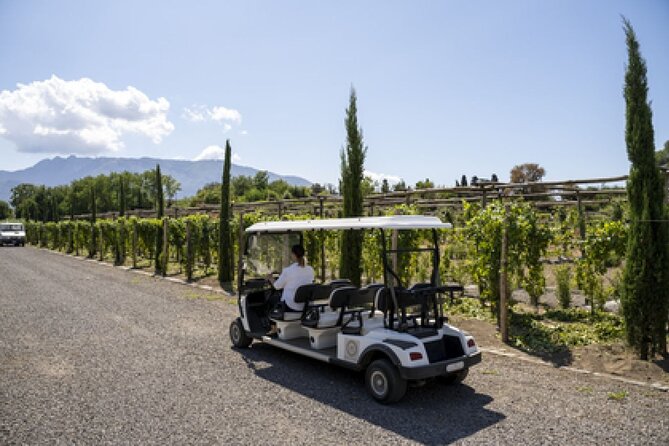 Wine Tasting Including Lunch - Lunch with wine: the part that can make or break the value